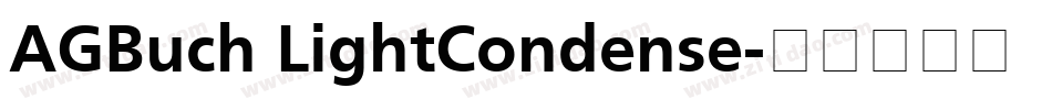 AGBuch LightCondense字体转换
